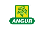 Angur Pulses LLP